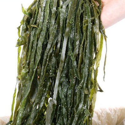 10斤包邮 品质新鲜整箱海带丝半干货厚盐渍昆布散装批发火锅食材图3