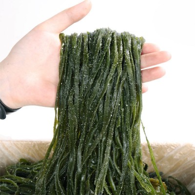 10斤包邮 品质新鲜整箱海带丝半干货厚盐渍昆布散装批发火锅食材