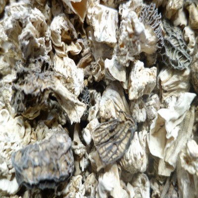 羊肚菌脚山珍菌菇野山菌脚现货批发云南菌菇产地直销图5