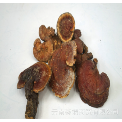 天然灵芝5-15厘米 野生灵芝 赤灵芝菌批发 手工选货 实物拍照图2