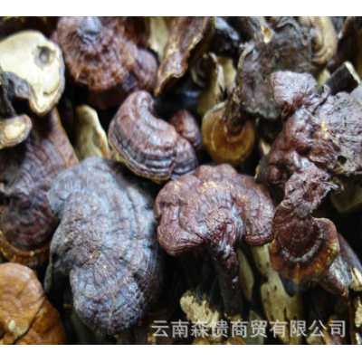 天然灵芝5-15厘米 野生灵芝 赤灵芝菌批发 手工选货 实物拍照图5