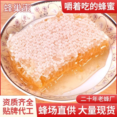厂家供应蜂巢蜜500g成熟全封盖百花巢蜜农家土特产蜂蜜现货销售图2