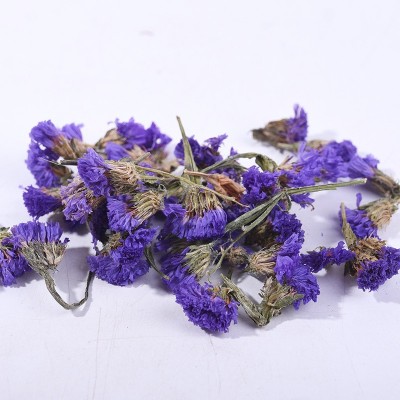 花茶勿忘我干花散装批发 新货干净蓝勿忘我兰勿花草茶大货批发图2