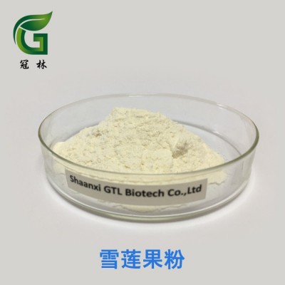 雪莲果果粉 雪莲果汁粉 固体饮料原料 1公斤起订图2
