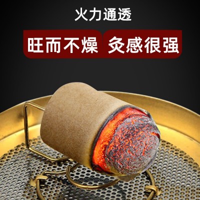 扶阳头透灸仪三元催化明火无烟 艾柱自动点火滤烟全身艾灸养生仪图3