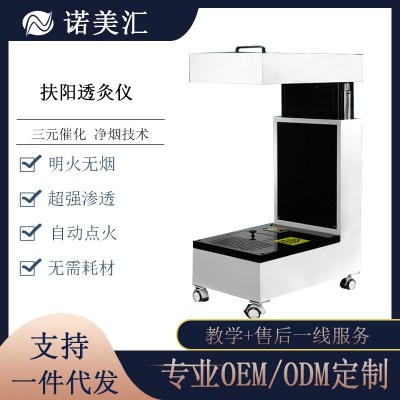 扶阳头透灸仪三元催化明火无烟 艾柱自动点火滤烟全身艾灸养生仪图2
