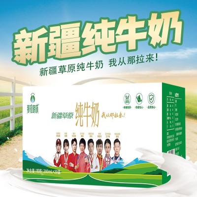 那拉明珠纯牛奶新疆牛奶200ml*20盒全家营养早餐中老年儿童青少年图5