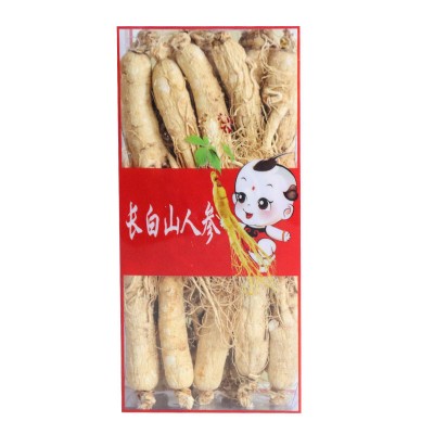 人参 批发吉林长白山人参 批发各规格整枝盒装白参生晒参