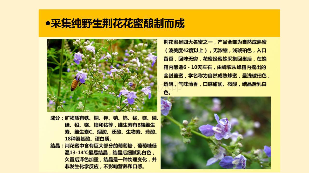 商品介绍 (3)