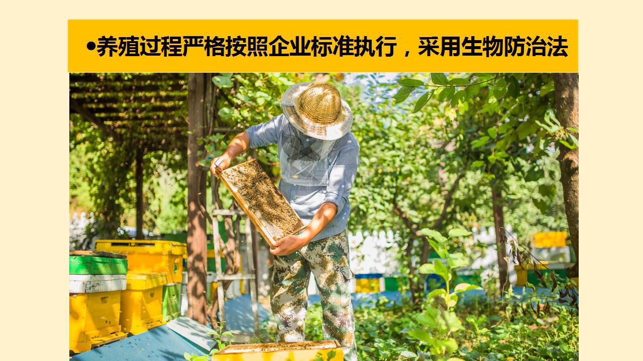 商品介绍 (6)