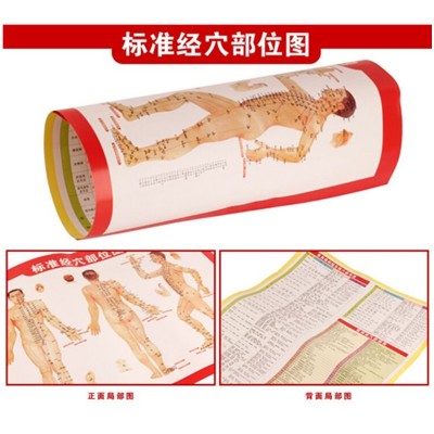 人体艾灸穴位图艾灸图人体经络穴位图艾灸疗法图拔罐刮痧图按摩图图2