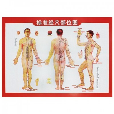 人体艾灸穴位图艾灸图人体经络穴位图艾灸疗法图拔罐刮痧图按摩图图1