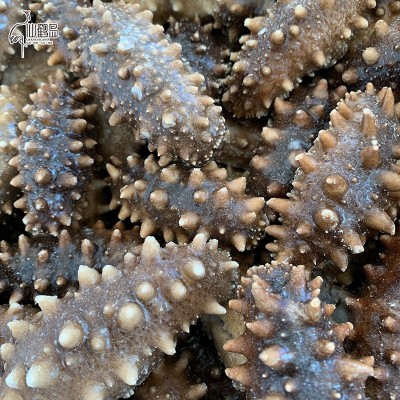 源头工厂即食海参 大连即食海参 500g 生鲜即食海参批发 4-30头图3