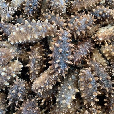源头工厂即食海参 大连即食海参 500g 生鲜即食海参批发 4-30头图4