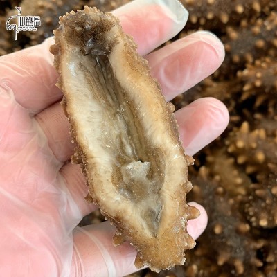 源头工厂即食海参 大连即食海参 500g 生鲜即食海参批发 4-30头图2