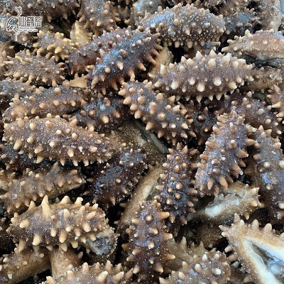 源头工厂即食海参 大连即食海参 500g 生鲜即食海参批发 4-30头图5