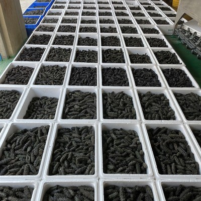 仙鹤岛厂家批发大连淡干海参50g辽刺参辽参干参非即食资质齐全图5