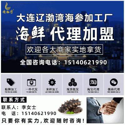 辽渤湾大连刺参即食海参鲜食批发冷冻海鲜辽参礼盒非干货图2