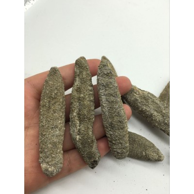 批发北极参 墨西哥有刺 北极刺参批 北极海参 一手货源 500g批图1
