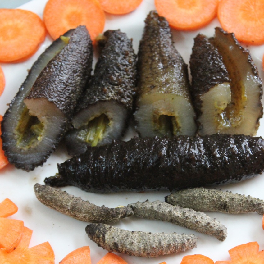 照片 847_conew1