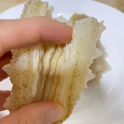 工厂货源即食海参马来西亚白金刺身黄玉白金刺身批发零售500g图3