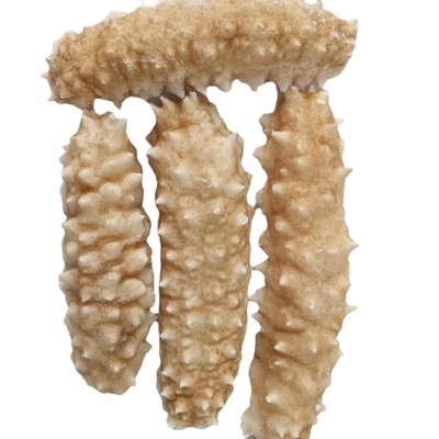 工厂货源即食海参马来西亚白金刺身黄玉白金刺身批发零售500g图4