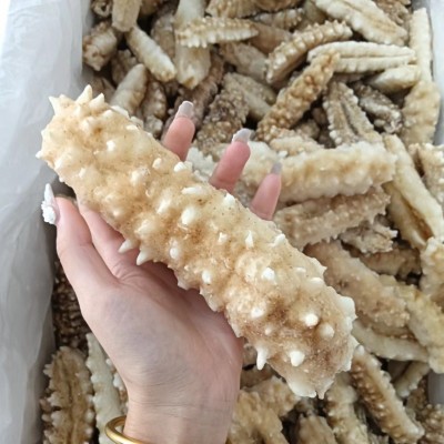 工厂货源即食海参马来西亚白金刺身黄玉白金刺身批发零售500g图5