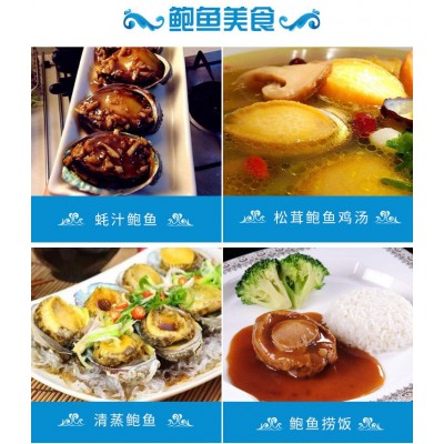 大连本地鲍鱼干 金黄色长海深海鲍鱼可一件代发厂家 加工批发图4