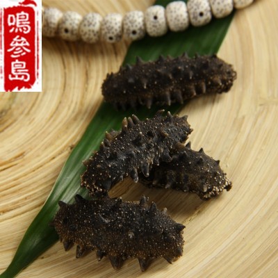 大连淡干海参 深海海参干货 厂家直销 货源稳定 50g/件可一件代发