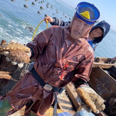 大连纯淡干海参 深海海参干货 厂家直销货源充足 可一件代发 50g图5