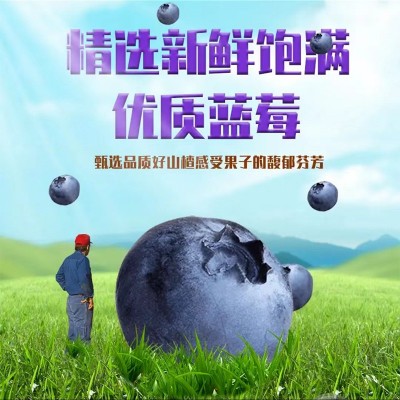 成人青少年儿童近视护眼 蓝莓叶黄素脂60片压片糖果分销代发图4