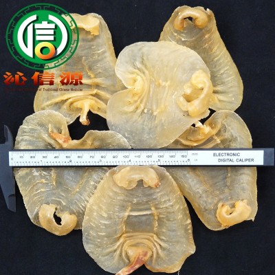 【满包邮】深海鱼胶赤嘴公肚150头散装产地直供鱼鳔鱼花胶沁信源图2