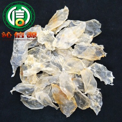 【满包邮】深海鱼胶小米鱼胶400头鸡蛋胶散装鱼鳔花胶沁信源批发图4