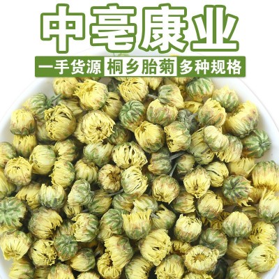 厂家批发头采桐乡胎菊 散装杭白菊新货胎菊王 源头直发花茶菊花茶
