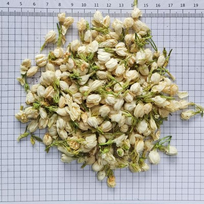 厂家批发广西横县茉莉花 基地直供新货茉莉花茶叶 散装500g花草茶图5