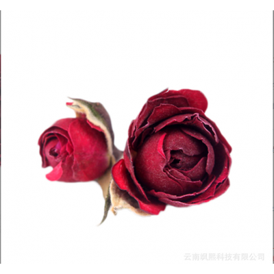 金边玫瑰花云南干玫瑰茶500g散装玫瑰花干花蕾泡水喝一斤图5