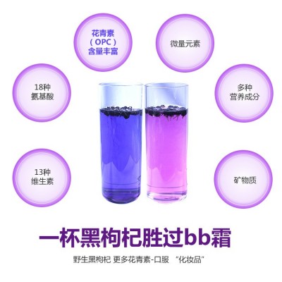 青海诺木洪黑枸杞产地货源大果 枸杞子散装批发厂家直销图4