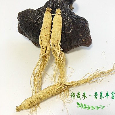长白山人参批发 吉林厂家生晒参盒装500g25支左右原皮全须白参干图4