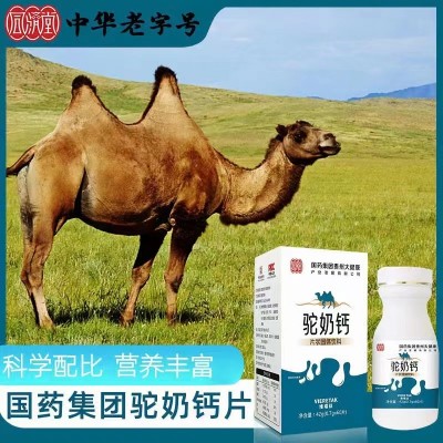 驼奶钙图2