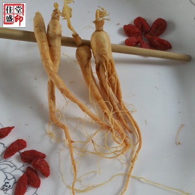 长白山保鲜参 鲜人参 吉林精选小人参 泡酒 厂家直销批发图4