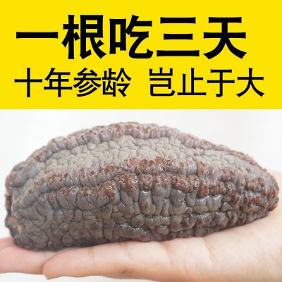 厂家直销产地原货 加拿大野生淡干海参红极参干货进口圆筒参454g