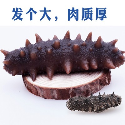 海芝屋精选大连海参底播深海9年淡干海参干货辽参辽刺参批发图2