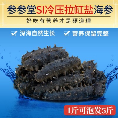 【顺丰】烟台参参堂海参批发冷压拉缸盐半干淡干大连海参干货500g