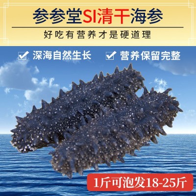 参参堂干参厂家批发渤海湾大连淡干海参干货辽参刺参10-18倍500克