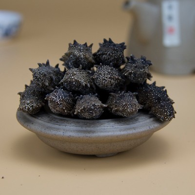 参参堂干参厂家批发渤海湾大连淡干海参干货辽参刺参10-18倍500克图4