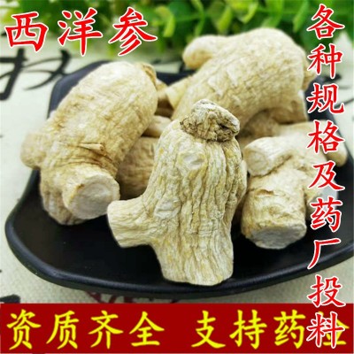 西洋参粒头 批发 西洋参软质 各种规格大货及药厂投料 产地货源图1