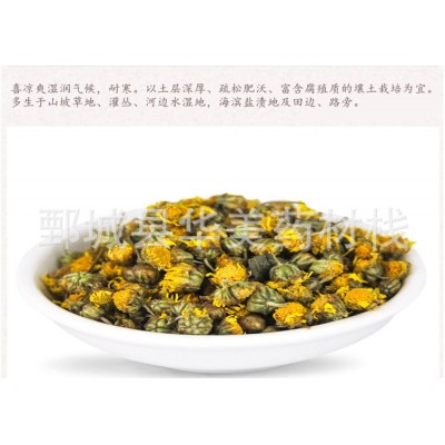 野菊花1000克【华美中药】中药材现货批发供应【野菊花】新货图3