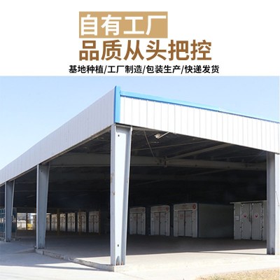 宁夏枸杞250g特级装新货红枸杞厂家直供贴牌代加工宁夏中宁枸杞图4