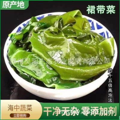 裙带菜干货批发裙带菜批发裙带菜一级裙带菜宝宝烘干脱水裙带菜
