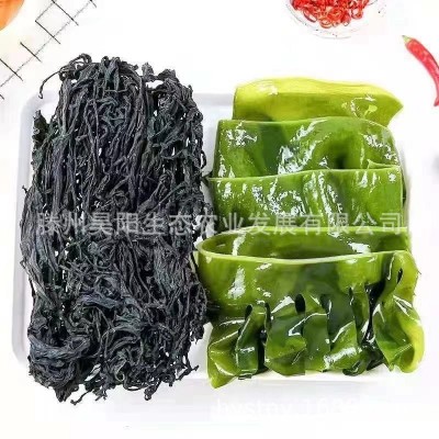裙带菜干货批发裙带菜批发裙带菜一级裙带菜宝宝烘干脱水裙带菜图4